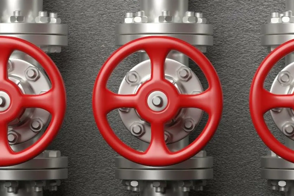 6 Tips on Choosing Check Valve Manufacturer in Australia