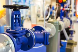 What is a gate valve