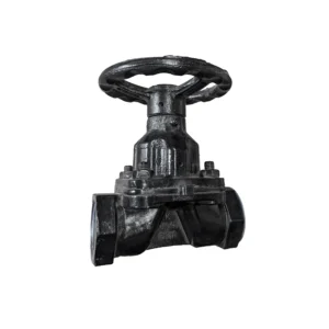 3001 Screwed Diaphragm Valve