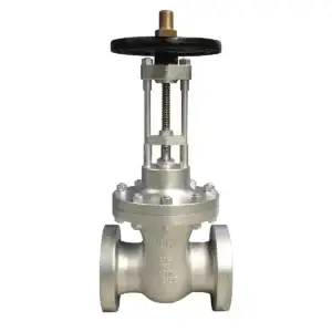 316 Parallel Slide Valve Stainless Steel