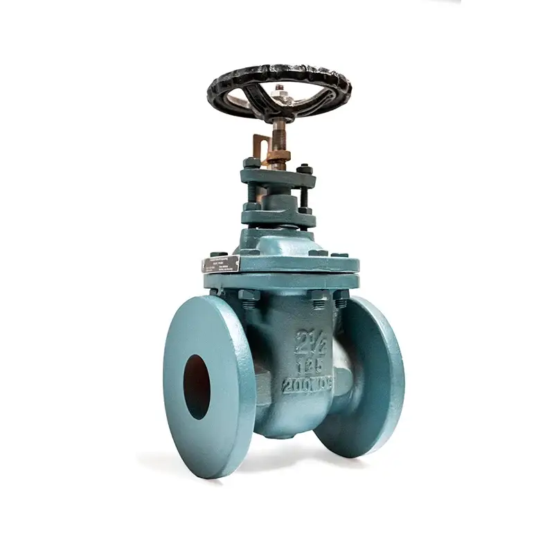 PH600 gate valve