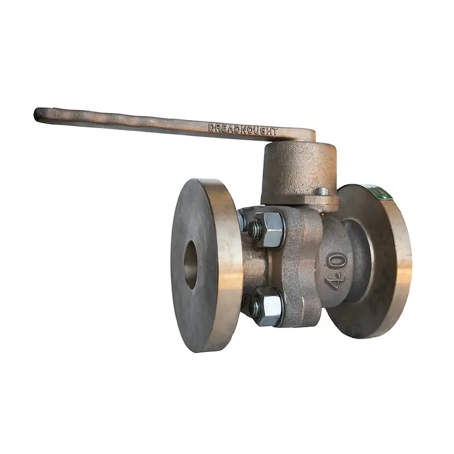 Blowdown Valve