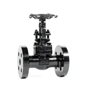 fig-245-high-pressure-globe-valve