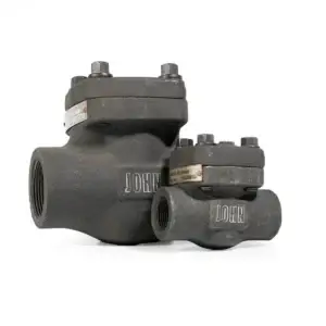 Fig 7082 swing check valve