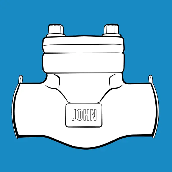 Check Valve 7884