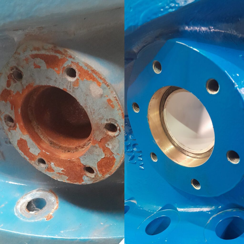 Tilt Check Valve Recondition