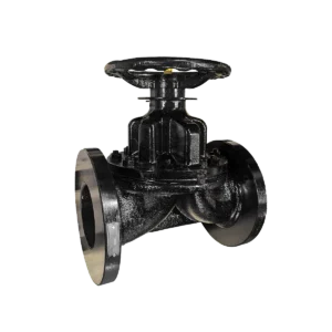 fig-3002-diaphragm