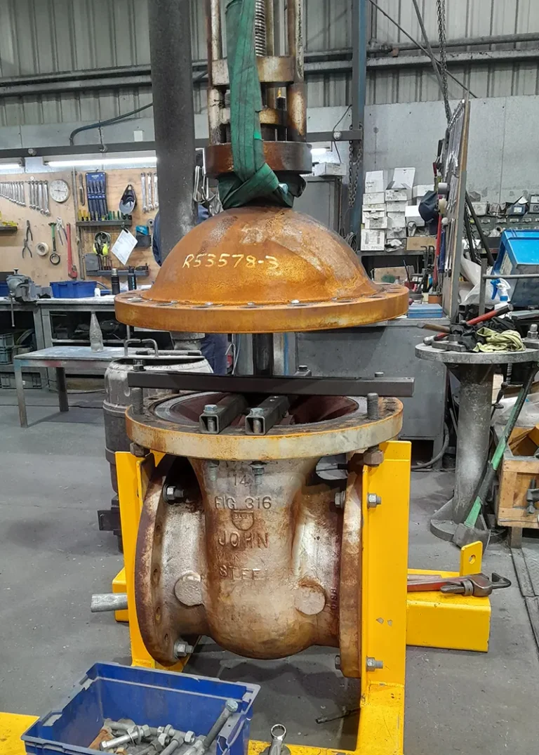 Inspection DN350 Fig 316